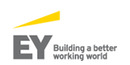Ernst & Young Law GmbH Rechtsanwaltsgesellschaft Steuerberatungsgesellschaft